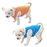 QiCheng & LYS Einfarbige Hunde t-Shirts Kleidung,Baumwollhemden Weich und atmungsaktiv,Cotton Hundekleidung Welpensportweste (Orange/Blau, S)