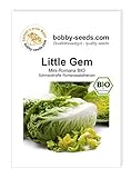 Little Gem BIO Mini-Romanasalat von Bobby-S