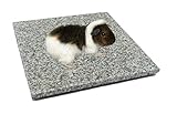 DiConcetto Kratzstein/Pflegestein sowie Kühlplatte/Klimastein aus Granit für Hamster, Meerschweinchen, Hasen und weitere Nager (Hell 15 x 10 cm)