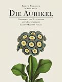 Die Aurikel. Geschichte und Kultur einer alten Gartenp