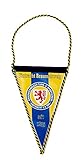 Eintracht Braunschweig Miniwimpel 8x12.5 cm, Auto Wimpel, Banner BTSV - Plus Lesezeichen Wir lieben Fußb