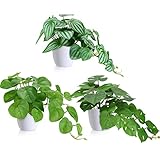 SOGUYI Kunstpflanze 30cm Künstliche Pflanzen im Topf Für Indoor Decor Home Schreibtisch Badezimmer Schlafzimmer Wohnzimmer Dekoration(3 Pack)