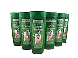 Elvital Planta Phytoclear Anti-Schuppen Shampoo, für normales Haar, 6er Pack (6 x 400 ml)