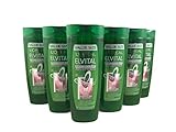 Elvital Planta Phytoclear Anti-Schuppen Shampoo, für normales Haar, 6er Pack (6 x 400 ml)