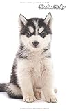 Siberian Husky: Diskretes Passwort Buch | 109 Seiten | Für 432 Einträge | Webseite, Benutzername, Passwort und Notizen | 12,7 cm x 20,3 cm Taschenbuch ... Security | Organizer | Notizbuch | Welpe H