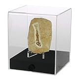 Präsentationscube.Aus hochwertigem Acryl.Format 120 x 120 x 140 mm Höhe.Schwarzer stabiler B