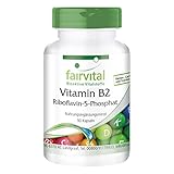 Riboflavin-5-Phosphat - aktives Vitamin B2 - HOCHDOSIERT - VEGAN - 90 Kap