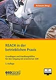 REACH in der betrieblichen Praxis: Grundlagen und Handlungshilfen für den Umgang mit erweiterten Sicherheitsdatenb