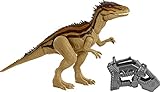 Jurassic World HBX39 - Mega-Zerstörer Carcharodontosaurus Dinosaurierfigur mit beweglichen Gelenken, ab 4 J