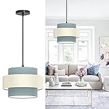 Depuley LED Hängeleuchte Höhenverstellbar Trommel, Pendelleuchte Minimalistisch, E27 Lampenfassung, Hängelampe Esszimmer, Esstischlampe Deckenlampe für Schlafzimmer Küchen Balkon Studio F