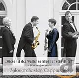 Wieso ist der Walter so klug für sein Alter? - Salonmusik