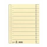 Esselte Leitz Trennblatt, A4, Karton,