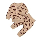 Neugeborene Herbst und Winter Kleidung Set Mädchen Herbst Kleidung Neue Dinosaurier Druck Pullover Zweiteiliger Anzug, ingwer, 70