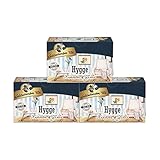 Goldmännchen Tee Hygge Kräutertee aromatisiert mit Zimt-Vanillegeschmack, 20 Teebeutel, 3er Pack
