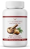 Maca intensiv I 10000 mg pro Kapsel (20:1 Extrakt aus 500 mg) I 120 Kapseln I laborgeprüft I höchste Pharma-Qualitätskriterien I Made in Germany I Vegetarier geeig