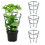 Pflanzenstütze Pfahl,Garten Blumenstütze Halbrunde Pflanzenstütze Ring,Pflanzen Klettergitter Rankhilfe Staudenhalter für Topfpflanzen ,Staudenstütze Blumenstütze Strauchhalter Rosenstütze (3 Stück)