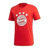 adidas Herren FC Bayern DNA Graphic Tee T-Shirt, Fcbtru/White, XL