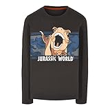M12010215 - T-Shirt LS