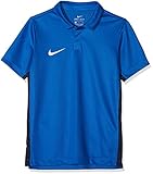 Nike Kinder Dry Academy18 Football Polo Shirt, Blau (Royal Blue/463), Gr. L
