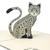 LIMAH® Pop Up 3D Katze,Geburtstagskarte, Glückwunschkarte, Freundschaftskarte, Geschenkkarte, Überraschungskarte mit einer großen grauen Katze mit großen blauen Aug