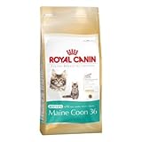 ROYAL CANIN Maine Coon Kätzchen, 4 kg