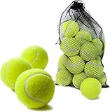 EPISENT Tennisbälle mit Netz-Tragetasche, 24 Stück drucklos, ideal für Sport, Praxis, Haustierspiel, Hundetraining, Wurfmaschine und alle Court-Typ