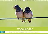 Vogelkinder - Junge Wildvögel (Wandkalender 2022 DIN A3 quer)