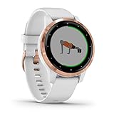 Garmin vívoactive 4S – schlanke, wasserdichte GPS-Fitness-Smartwatch mit Trainingsplänen & animierten Übungen. Für schmale Handgelenke, 20 Sport-Apps, 7 Tage Akkulaufzeit, kontaktlos Bezahlen, Musik