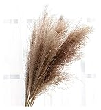 Künstliche Blume Natürliches Reed Dekoration Blumenstrauß Löwenzahn Gras Gefälschte Blume Künstliche Blume Bouquet Dekorative Getrocknete Blumen Künstliche Lavendel Blumen Artificial B