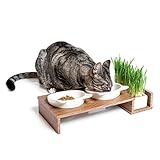 CanadianCat Company ® | Futterbar Cat Diner für Katzen | mit dritter Schale für z.B. Katzengras o. Trockenfutter im Holzoptikständer, Fressnapf, F