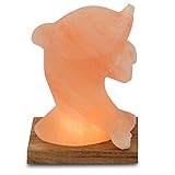 LED Salzlampe weiß oder orange Salzkristall Delfin oder Elefant - Erstklassige Qualität - Punjab Pakistan Farbe Delfin Orang