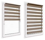 Doppelrollo ohne Bohren, 128x220 cm , Duo Rollo Klemmfix, Easyfix, lichtdurchlässig und verdunkelnd, Day&Night, Klemmrollo Sonnenschutzrollo Fensterrollo für Fenster & Tü