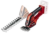 Einhell Akku-Gras- und Strauchschere GE-CG 18/100 Li-Solo Power X-Change (Li-Ion, 18 V, 10 cm Schnittbreite Grasmesser, 20 cm Schnittlänge, werkzeugloser Messerwechsel, ohne Akku und Ladegerät)