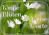 Weiße Blüten, weise Worte (Wandkalender 2022 DIN A4 quer)