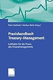 Praxishandbuch Treasury-Management: Leitfaden für die Praxis des Finanzmanag