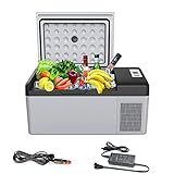 Tragbarer Mini-Kühlschrank Kompressor Autokühlschrank DC 24V 12V Autokühlschrank AC 220V Home Kühlschrank