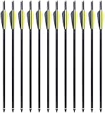 12 x Armbrustpfeile 20 Zoll Carbon bolzen 16 Zoll armbrustbolzen 17 Zoll 8,8 MM für Compound Recurve und Sportarmbrust (20 Zoll gelb)