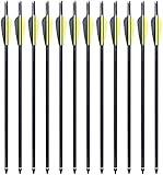 12 x Armbrustpfeile 20 Zoll Carbon bolzen 16 Zoll armbrustbolzen 17 Zoll 8,8 MM für Compound Recurve und Sportarmbrust (20 Zoll gelb)