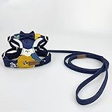 WYHmusic Katze-Brustgurt-Gürtel-Set, Anti-Flucht-Sicherheit, einstellbare Katzenweste Brustgurt, geeignet für Katzen, die leicht zu kontrollieren sind,B