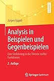 Analysis in Beispielen und Gegenbeispielen: Eine Einführung in die Theorie reeller Funk