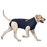 MPS Medical Pet Shirt, Blau, für mittelgroße+ H