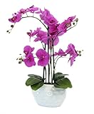 Decoline Kunstpflanze Orchidee XL mit Keramiktopf - ca. 53cm hoch (Blüten lila - Topf weiß)