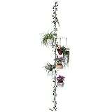 BAOYOUNI 5-Tier Innen Blumentreppe Zimmerpflanze Stand Teleskop Blumentopf Display Halter Rack Federbelastete Spannstange Edelstahl Rod Dekorative Lagerregal, Elfenb