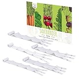 5m Saatband 5er Set bestehend aus Karotten, Radieschen, Rucola, Feldsalat & Pflücksalat Samen - Ideal für die Anzucht im Garten, Balkonkasten & Gemüseb