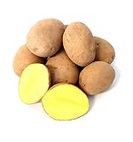 Kartoffel Afra mehlige Kartoffeln 1-25 Kg deutsche Speisekartoffel perfekt für Kartoffelsuppe, Püree, Gnocchi, Knödel, Kroketten, Ofenkartoffeln Aufläufe Salzkartoffeln auch zum Grillen geeignet (10)