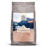 Wildes Land - Halbfeuchtes Trockenfutter für Hunde - Truthahn & Lachs - 5 kg - Soft mit Reis und Wildkräutern - Glutenfrei - Extra viel Fleisch - Für alle Hunderassen - Beste Akzep