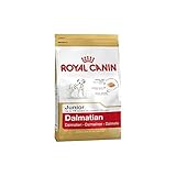 ROYAL CANIN Dalmatian 25 Junior 12 kg, 1er Pack (1 x 12 kg)