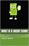 What is a Credit Score: Ages 12-18 Understanding credit reports and credit scores. Vol 5 (Mr. Money) (English Edition)