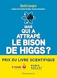 Mais qui a attrapé le bison de Higgs ?: ... et autres questions que vous n'avez jamais osé poser à haute voix