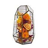 alyf Geschenke Glas-Blumen-Raum-Konservierter Blumen-Geschenk-Box erhaltene echte Rosen-Jahrestag Mutter Freundin Kreativität Festival Geschenk Ornamente Dekor (Color : B)
